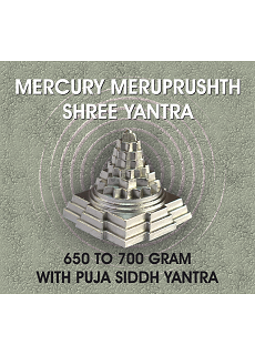 Parad Shree Yantra With Pooja